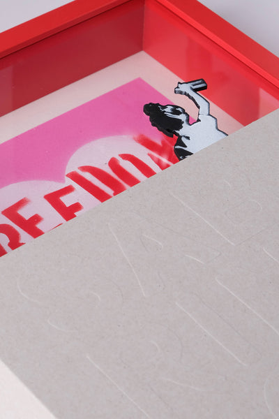 Freedom (Stencil Art / Spray Painting)